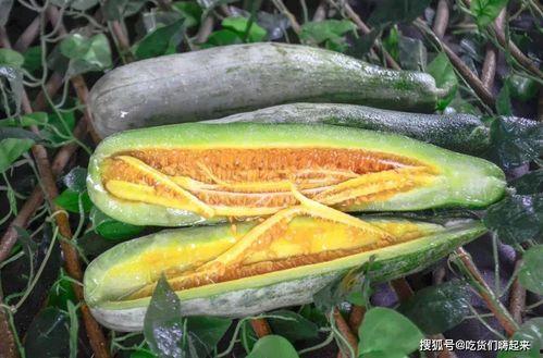 吃瓜原创网红推荐,盘点那些必尝美食! 第1张 吃瓜原创网红推荐,盘点那些必尝美食! 第1张