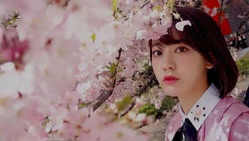 小樱花爆料韩国视频,韩国热门视频背后的故事 第2张 小樱花爆料韩国视频,韩国热门视频背后的故事 第2张